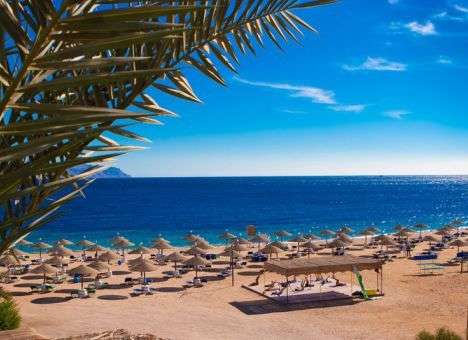 В Хургаде назвали точное количество погибших при нападении на отель