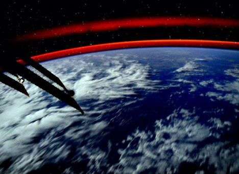 Впервые в космосе распустился цветок (ФОТО)