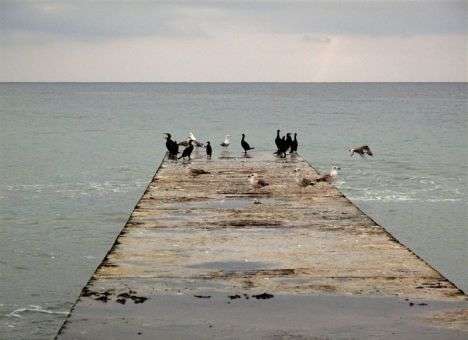 Крым готовит туристам ценовой шок