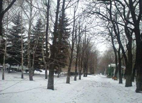 На донецком мясокомбинате теперь едят и спят за колючей проволокой (ФОТО)