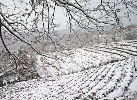 Аномальный холод убил 50 человек и «парализовал» туристов