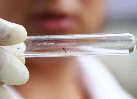 Мы проигрываем войну: Люди оказались бессильны перед новой бедой