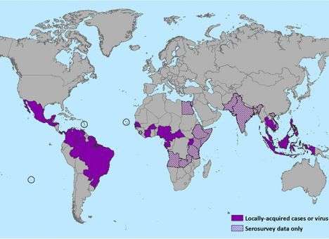 Как изменится человечество из-за вируса Зика