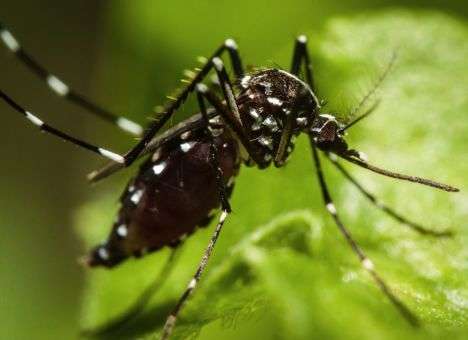 Человечество столкнулось с угрозой мирового масштаба