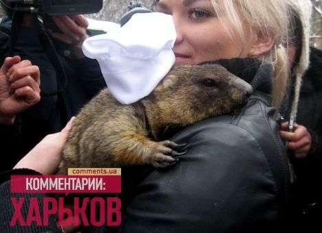 Байбак-предсказатель выбрал курс гривны