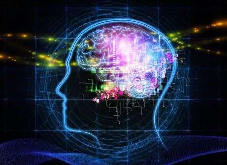 Ученые определили, как мозг реагирует на времена года