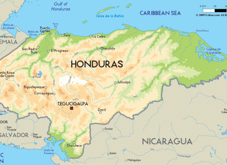 Путин определил, кто будет представлять РФ в Гондурасе