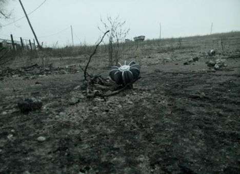 В оставленном противником Широкино на каждом углу затаилась смерть