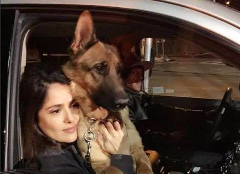 Убит любимец голливудской актрисы Сальмы Хайек (ФОТО)