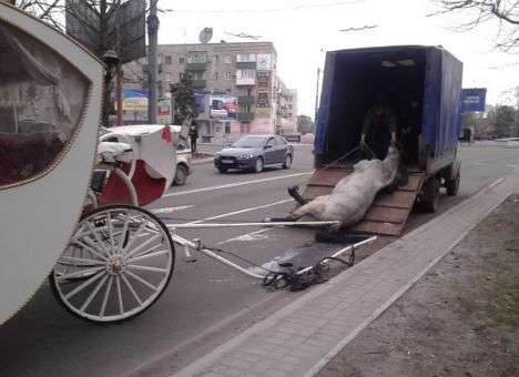Упала без сил: На свадьбе в центре Мариуполя произошло ЧП (ФОТО)