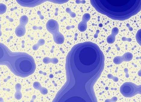 Ученые обнаружили бактерию, которая питается пластиковыми бутылками