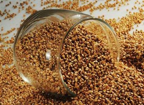 Гречка в России становится элитным продуктом