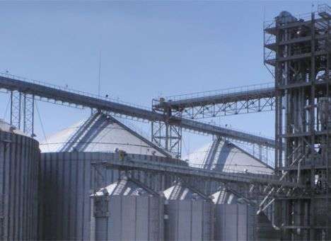 Харьковский Агросвит: Бичуч перевел активы и хозяйственную деятельность на «компании-близнецы»