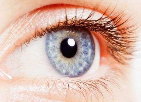 Ученые назвали продукт, который защищает от слепоты