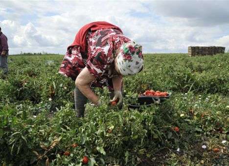 Украинцам хотят отдать право распоряжаться землей
