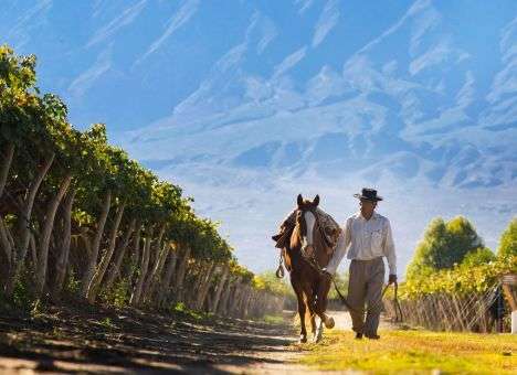 Континент подающих надежды