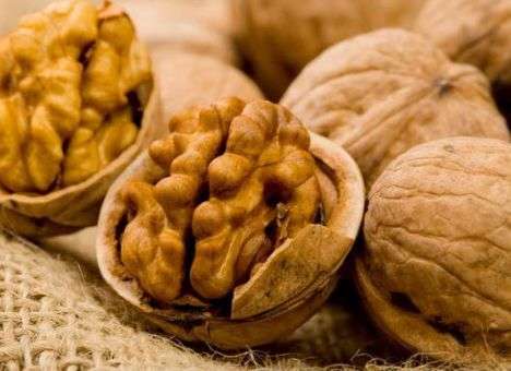 Борьба с «ореховой мафией» обойдется государству в $12 млн. недополученных доходов, - СМИ