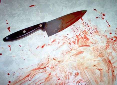 Россиянин рассказал, за что зарезал двух дочерей