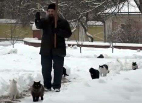 В Оптиной пустыни коты ходят крестным ходом за священнослужителем (ВИДЕО)