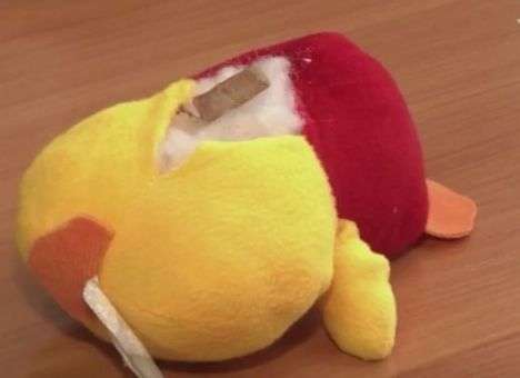 В РФ родители нашли в мягкой детской игрушке зловонный окурок (ВИДЕО)