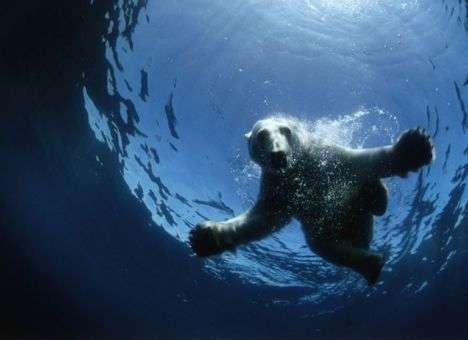 Это изменит судьбу РФ: Названа главная военная цель Путина