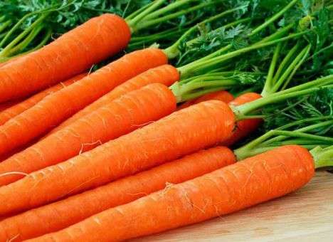 Киевлян напугала молодая морковь