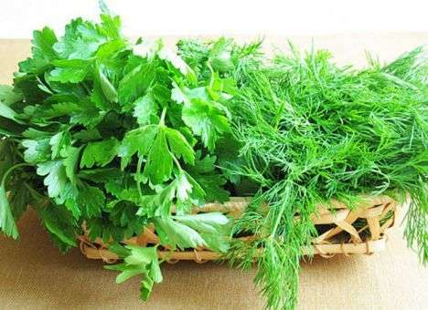 Кровавая петрушка: Киллер в Москве настиг «короля зелени» (ВИДЕО)