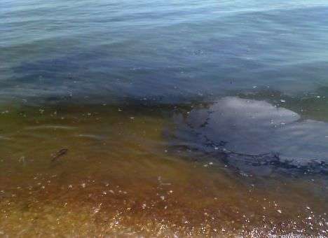 Россия запачкала море в Крыму