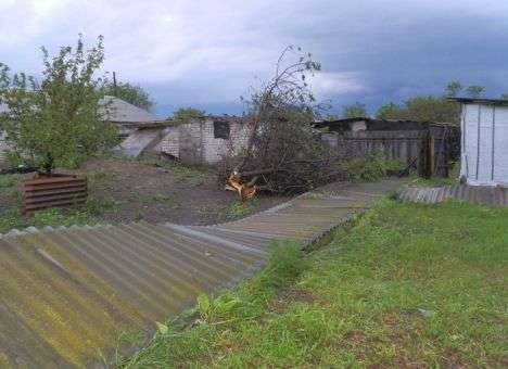 На Луганщине ураган срывал крыши и валил столбы (ФОТО)