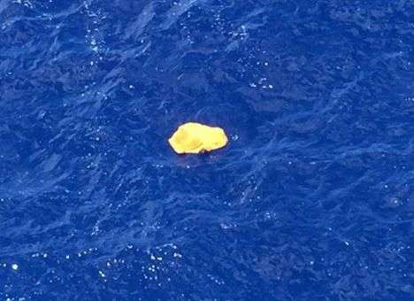 Стюардесса рухнувшего лайнера публиковала снимок своего спасения с тонущего самолета (ФОТО)