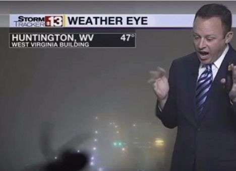 Его придется убить: Ведущего в прямом эфире довел до истерики паук (ВИДЕО)