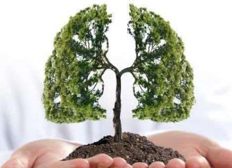 Эсперты назвали четыре причины рака легких у некурящих