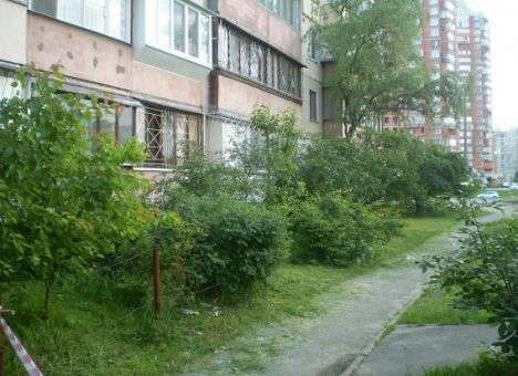 В Киеве около жилой высотки нашли гранату и патроны (ФОТО)