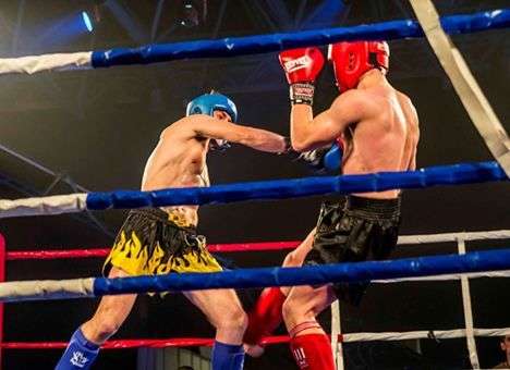 Украинцы завоевали 29 наград на чемпионате мира по кикбоксингу