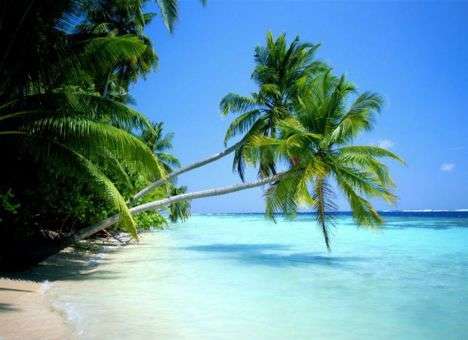 Российские туристы везут домой страшный вирус