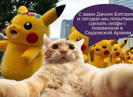 В Саудовской Аравии запретили селфи с котами – соцсети взорвались фотожабами (ФОТО)