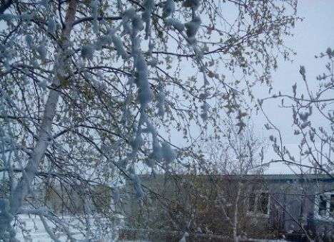 В России в первый день лета выпал снег (ФОТО)