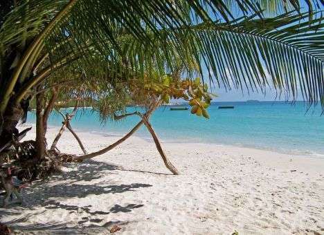 Десятки туристов пострадали в Таиланде