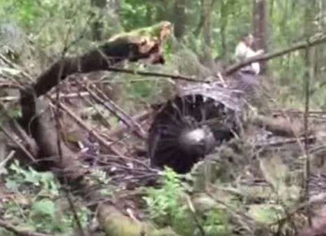 Почерневшие деревья и земля: Как выглядит местро катастрофы Су-27 под Москвой (ВИДЕО)