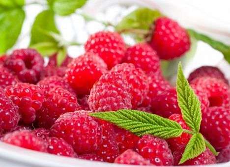 Медики назвали ягоду, которая защитит от болезни Альцгеймера