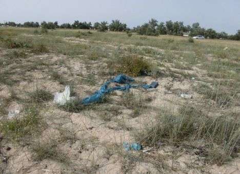 Пляжи Евпатории утопают в мусоре (ФОТО)