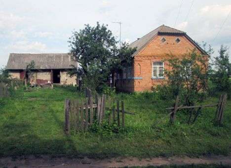 17-летний парень убил женщину из-за собаки (ФОТО)