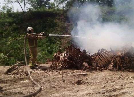 Под Киевом пылали скелеты (ФОТО)