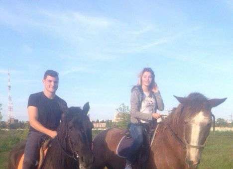 Одесский детектив: Лошадей похитили из жалости