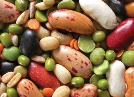 Врачи назвали самый лучший продукт, способствующий долголетию