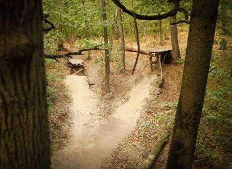 В Киеве эко-радикалы и велоэкстремалы развязали войну (ФОТО)
