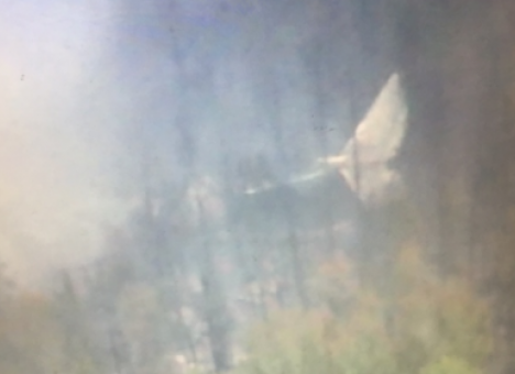 Все погибли: На месте крушения Ил-76 обнаружены останки