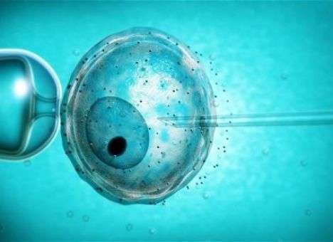 Врачи сообщили, что увеличит шансы женщины на зачатие в два раза