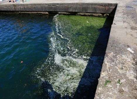 На пляжах Одессы кучи мусора и горы водорослей (ФОТО)