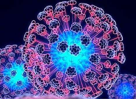 Медики изобрели новую методику лечения остеопороза